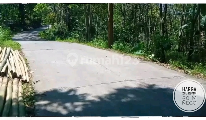 Lahan Hortikultura Akses Mudah di Limbangan Boja Lahan Hortikultura Akses Mudah di Limbangan Boja