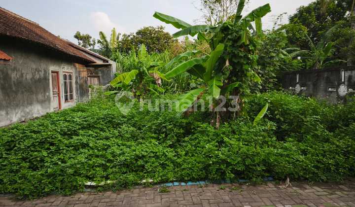 Tanah Murah Di Mijen Semarang 1