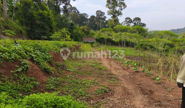 Tanah Kebun Dekat Obyek Wisata Kali Gedhe Mijen Semarang 1