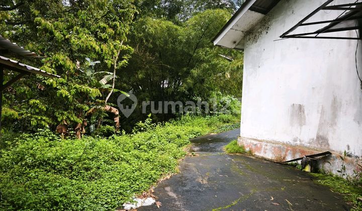 Rumah Potong Unggas Dekat Sungai dan Jalan Raya di Boja Kendal