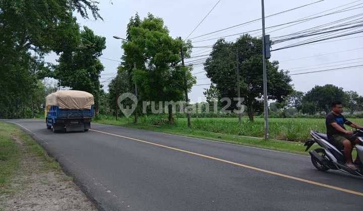 Tanah Pinggir Jalan Raya Buat Pabrik Brondong Lamongan