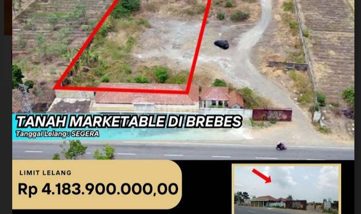 Tanah Dijual Lelang Jalan Raya Ciledug Bojongsari Losari Brebes  1