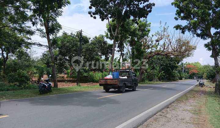 Tanah Pinggir Jalan Cocok Buat Pergudangan Brondong Lamonagan Tanah Pinggir Jalan Cocok Buat Pergudangan Brondong Lamonagan