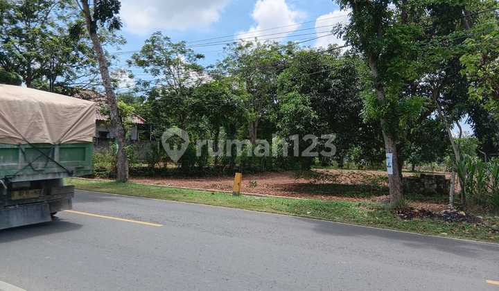 Tanah Pinggir Jalan Raya Pantura Brondong Lamongan Tanah Pinggir Jalan Raya Pantura Brondong Lamongan