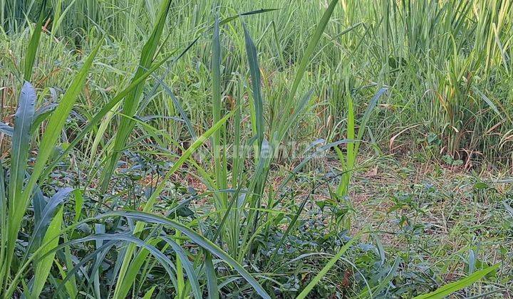 Tanah Murah Di Pondok Cabe. Lebar 20m².  Sudah Pagar Keliling 2