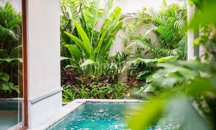 Leasehold 2br Villa Amoras Canggu Pererenan 1