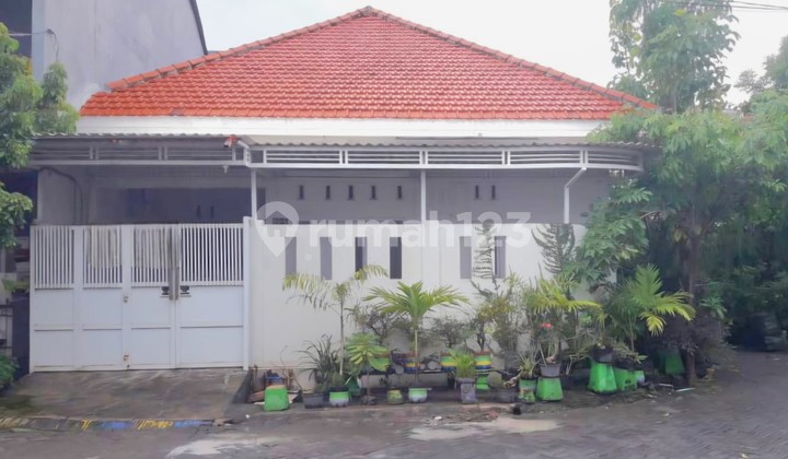 Rumah Siap Huni - Plafon Tinggi, Sirkulasi Udara Sangat Baik | Gunung Anyar Emas, Surabaya Timur Rumah Siap Huni - Plafon Tinggi, Sirkulasi Udara Sangat Baik | Gunung Anyar Emas, Surabaya Timur