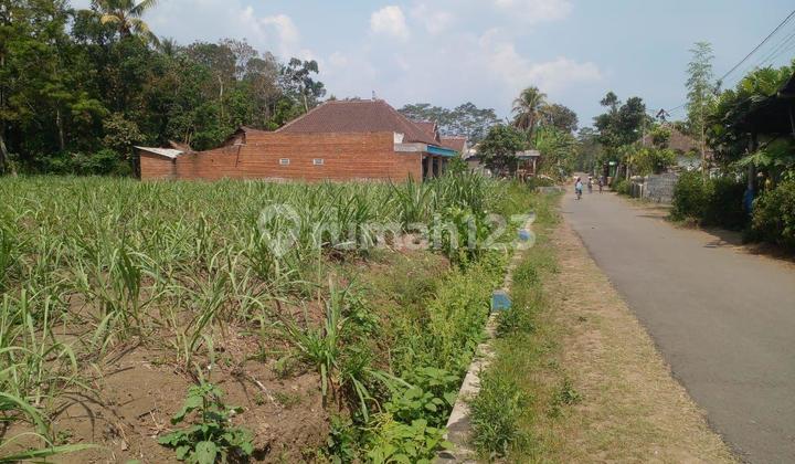 Tanah 3 Hektar Rata - Jarang Ada di Harga 295 Ribu/M²