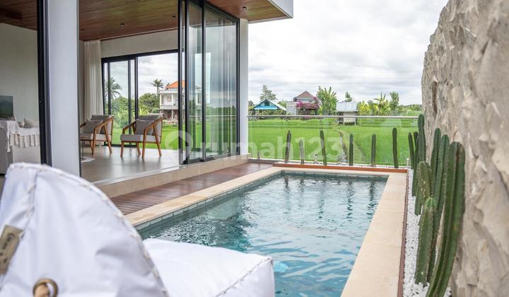 Private Pool Villa With Rice Field View Near Canggu