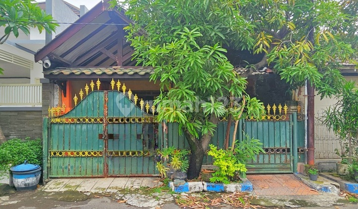 Below Market Price - Rarely Available Ready-to-Occupy House in Bendul Merisi, South Surabaya Below Market Price - Rarely Available Ready-to-Occupy House in Bendul Merisi, South Surabaya