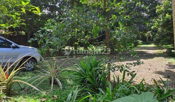 Tanah kavling sudah ada bangunan lokasi Strategis cocok buat Claster resto dan tempat Usaha  2