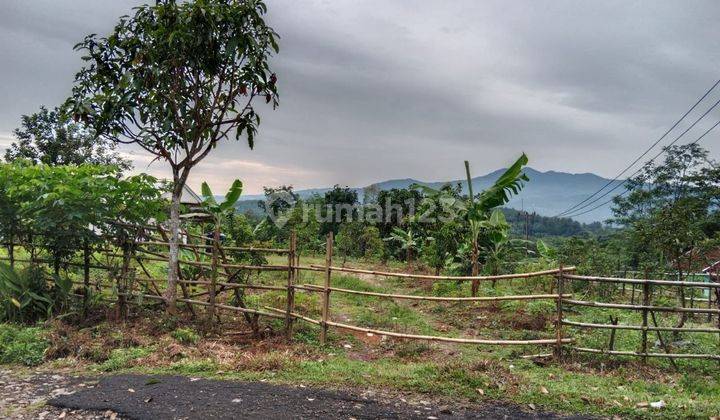 Jual Tanah Kebun di Lebak Banten Pinggir Jalan Raya Posisi Hook 1