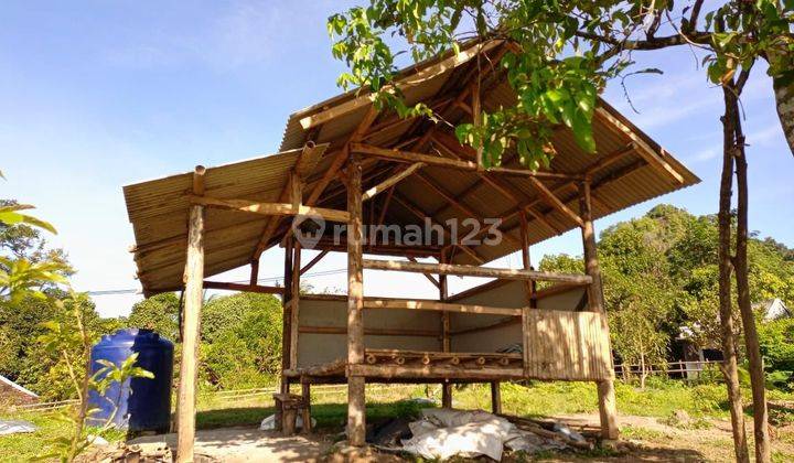 Jual Tanah Kebun di Lebak Banten Pinggir Jalan Raya Posisi Hook 3
