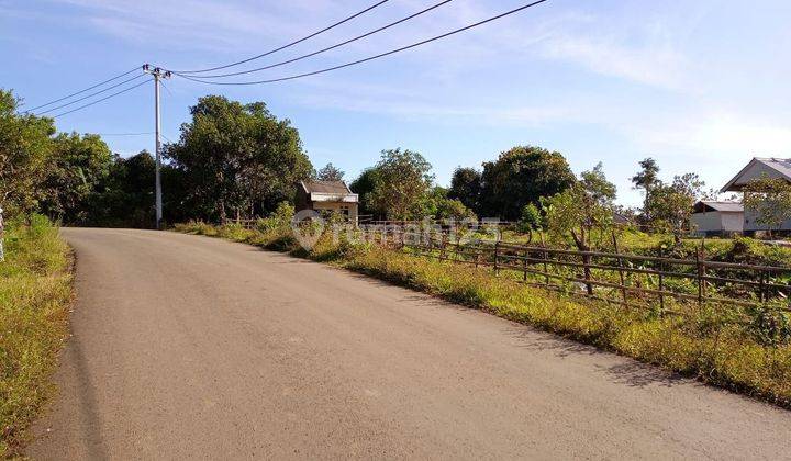 Jual Tanah Kebun di Lebak Banten Pinggir Jalan Raya Posisi Hook 4