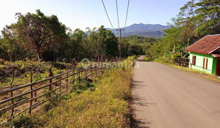 Jual Tanah Kebun di Lebak Banten Pinggir Jalan Raya Posisi Hook 5