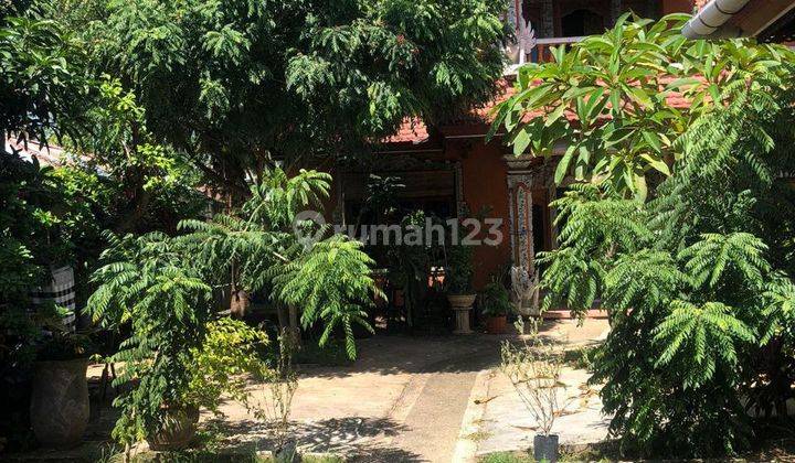 Jual Villa di Bali Butuh Uang Dekat Panti Lovina Bulelang 2