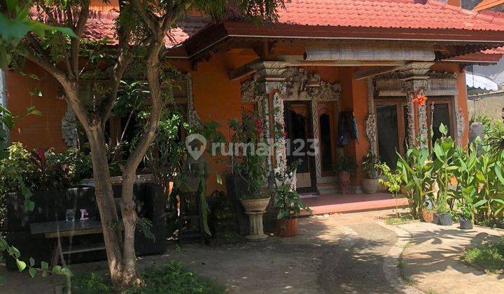 Selling a Villa in Bali Needs Money Near Panti Lovina Bulelang 1