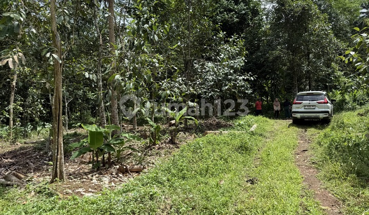 Jual Tanah Cijeungjing Ciamis Murah SHM , Akses Mobil dan Dekat Jalan Provinsi