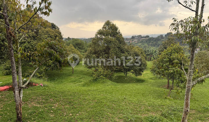 Jual Tanah Caringin Bogor 5 Ha, SHM, 6 Km Pintu Tol Caringin Jual Tanah Caringin Bogor 5 Ha, SHM, 6 Km Pintu Tol Caringin