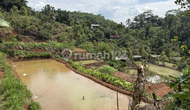 Land for Sale in Baregbeg, Ciamis, with a Rapid Spring by the Roadside Land for Sale in Baregbeg, Ciamis, with a Rapid Spring by the Roadside