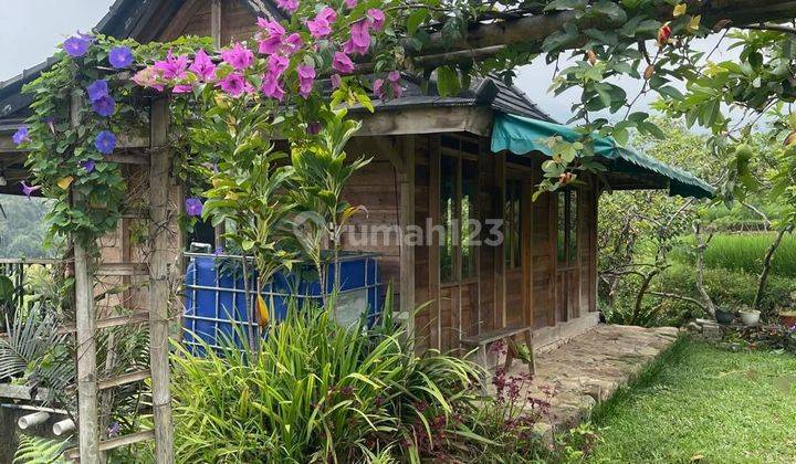tampak depan jual tanah pamijahan bogor view