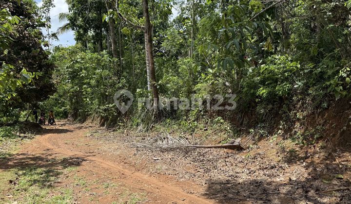 Sell Cheap Land in Cisaga Ciamis, Adjacent to Road with Electricity and Water