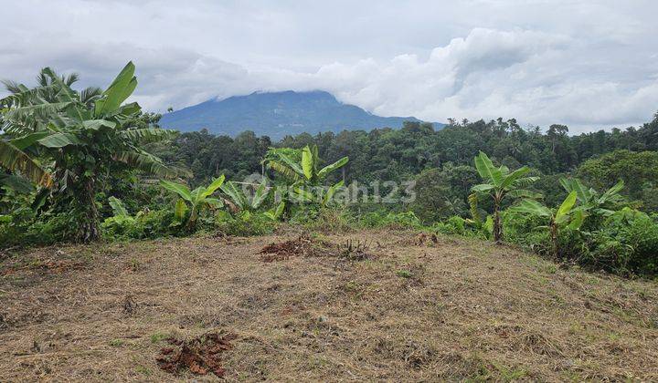 Jual Tanah di Pandeglang, 10 Menit Alun alun Pandeglang 2