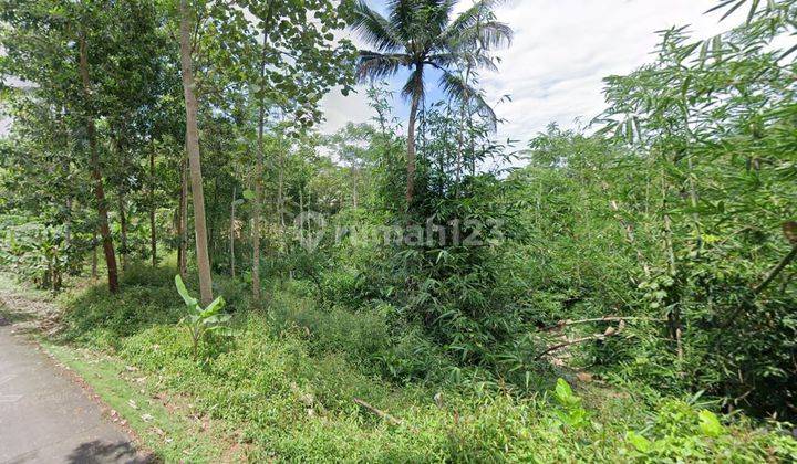Jual tanah kebun nempel jalan Aspal di cisaga ciamis Akses Jalan dan Listrik 1
