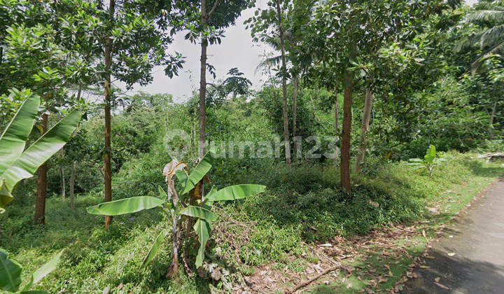 Jual tanah kebun nempel jalan Aspal di cisaga ciamis Akses Jalan dan Listrik 2