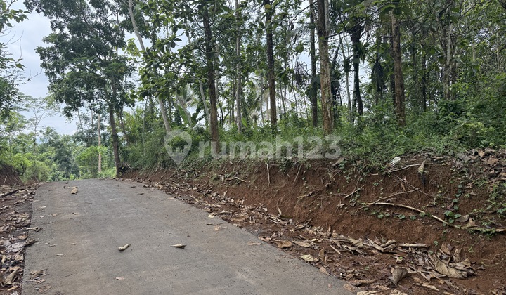 Sell Ciamis Land, Cheap SHM and Adjacent to Asphalt Road