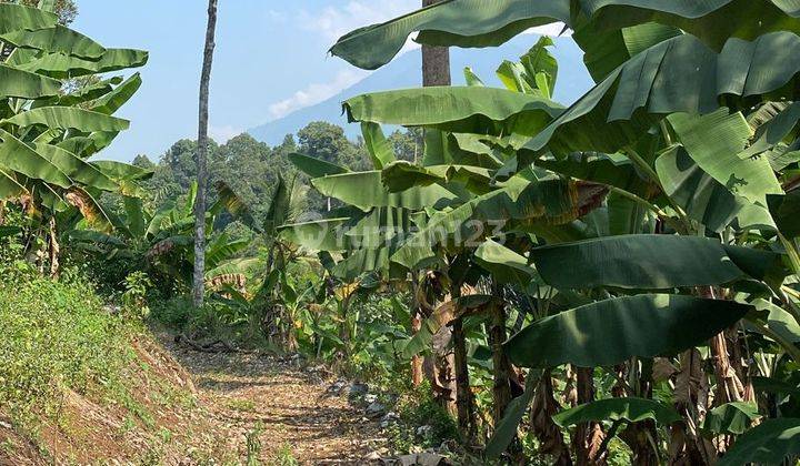 Jual Tanah di Pandeglang, 10 Menit Alun alun Pandeglang 1