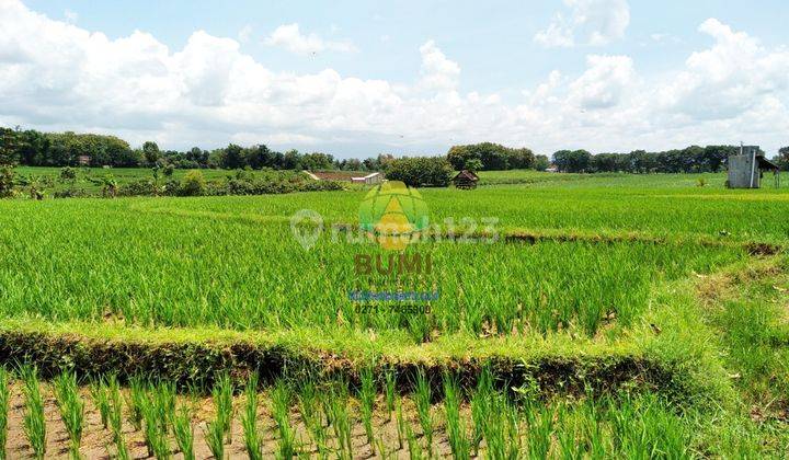 Tanah Sawah Luas Lokasi Kebakkramat 2