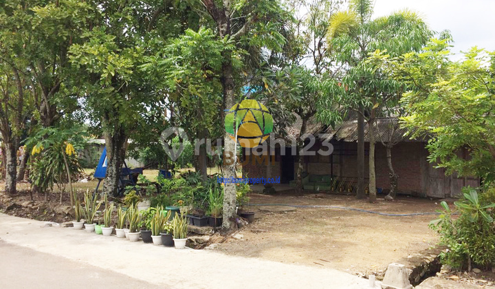 Tanah Pinggir Jalan Raya Lokasi Baturetno Wonogiri 3