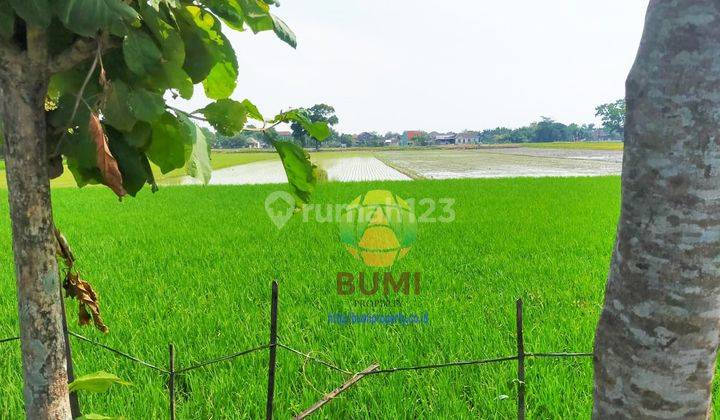Dijual Tanah Murah Lokasi Gatak 1