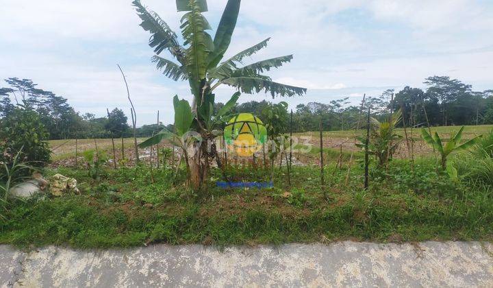 Tanah Sawah Luas Lokasi Matesih Karanganyar 2