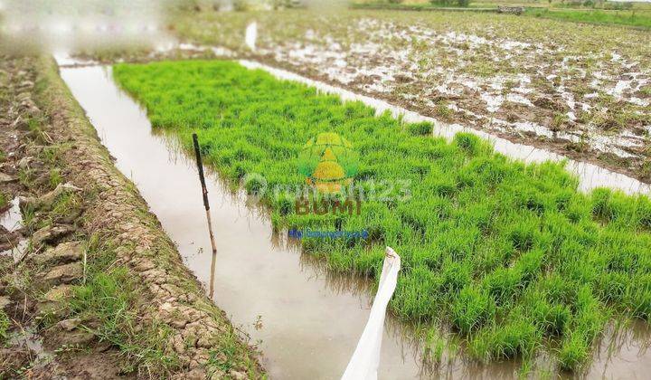 Tanah Hook Luas 1800 Meter Lokasi Mandan Sukoharjo 2