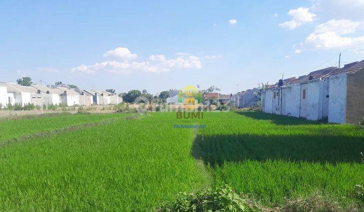 Tanah Luas 3177 Meter Cocok Untuk Perumahan Dekat Taman Pancasila 1