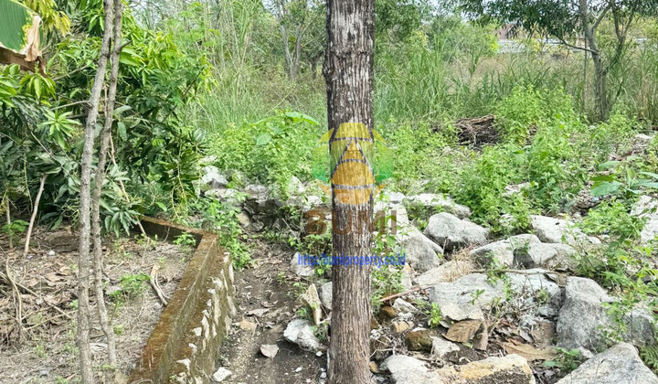 5 hectares of spacious land in a strategic location in Wuryantoro, Wonogiri.