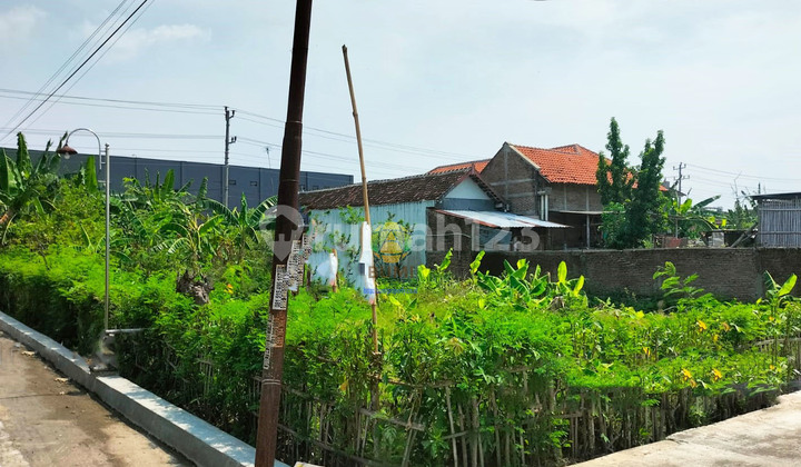 Ready-to-build land in a strategic location near Pungkruk Sragen toll gate.