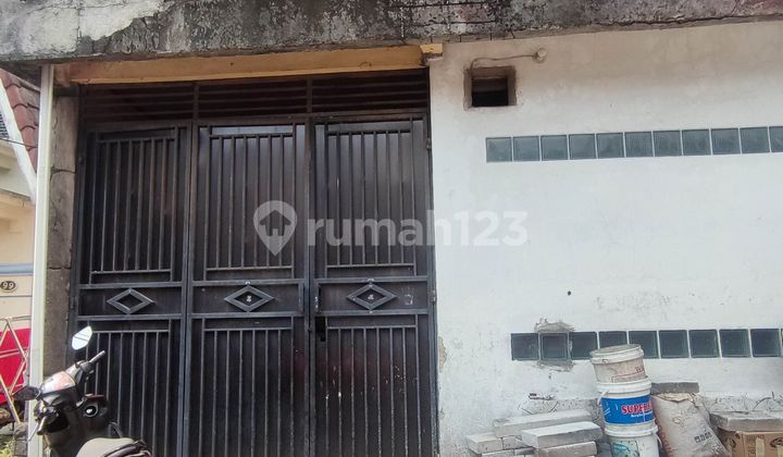 rumah tumbuh di victoria sentul 2