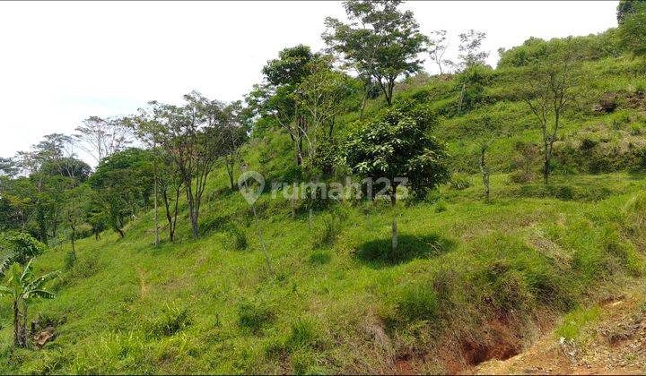 Investasi Kavling Bandung Selatan dkt Banjaran CIparay Jelekong 1