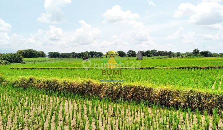 Tanah Sawah Luas Lokasi Kebakkramat 1