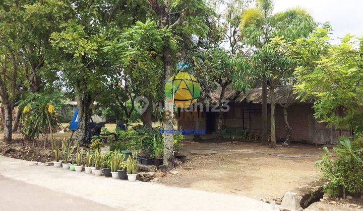 Tanah Pinggir Jalan Raya Lokasi Baturetno Wonogiri 3