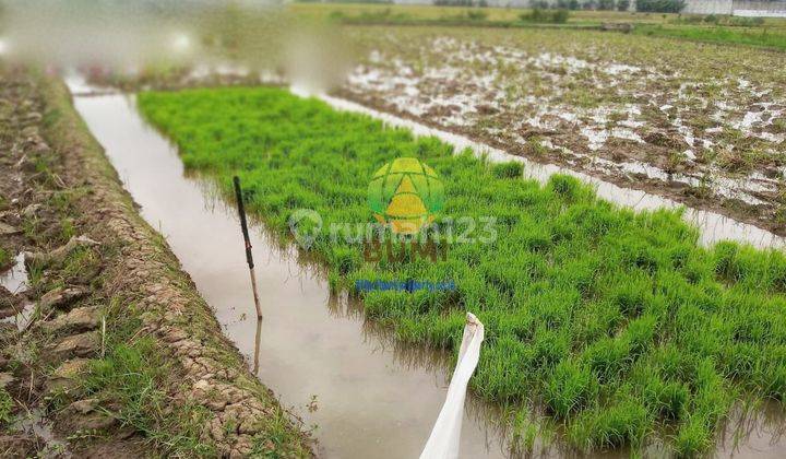 Tanah Hook Luas 1800 Meter Lokasi Mandan Sukoharjo 2