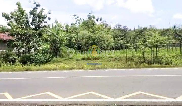 Tanah Murah Wonogiri Luas 4315 Meter di Jalan Nasional 1