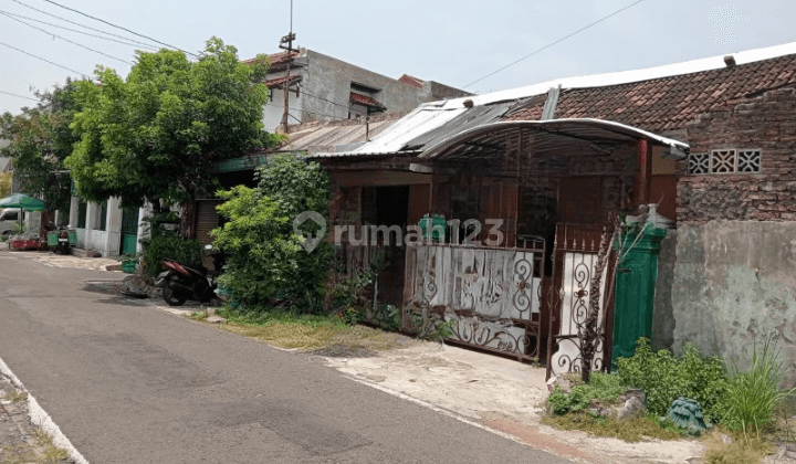 Rumah Lama Strategis Tengah Kota Solo 2