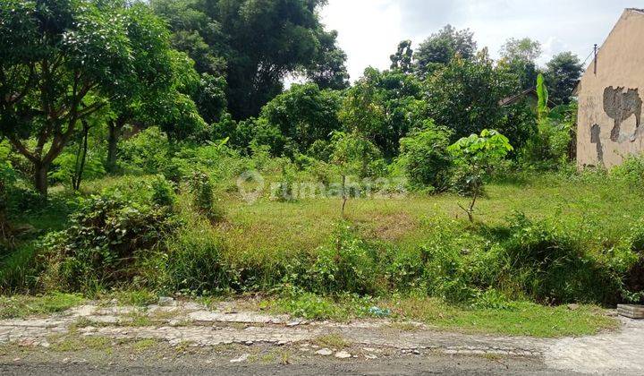 Tanah Pekarangan Siap Bangun Wonoboyo Wonogiri 2
