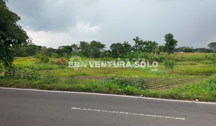 Tanah Kawasan Wisata dan Umbul Ponggok Klaten Tanah Kawasan Wisata dan Umbul Ponggok Klaten