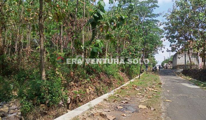 Tanah Pekarangan Siap Bangun Bulu Polokarto 1