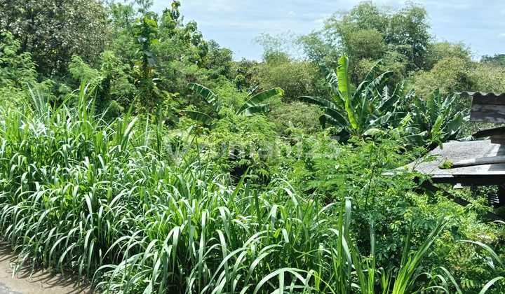 Strategic Dryland in Mojogedang, Karanganyar